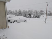IMG_20181209_080941.jpg