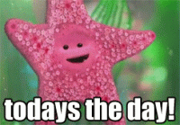 1544451083391.gif