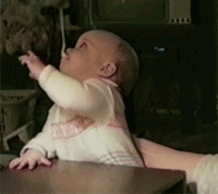 1544464579483.gif
