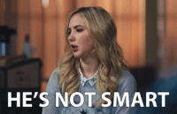 1544490520028.gif