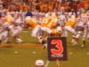 vols & florida 011.jpg