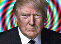 D7EFE9B8-4D14-4BE6-906F-9B45441AF568.gif
