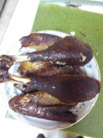 20181224_114117.jpg