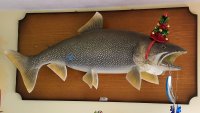 20181210_111724.jpg
