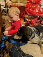 IMG_20181225_145810.jpg