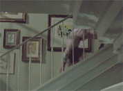 1545924100076.gif