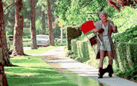 cSyHT2l.gif