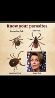 223F1FF7-F819-4C8C-9408-B9A1BD1DC2DF.png