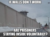 FB_IMG_1546733847480.jpg