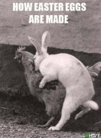164786-How-Easter-Eggs-Are-Made.jpg