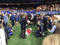 uga.gif