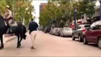 giphy (35).gif