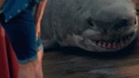 giphy (30).gif