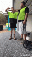 tenor (1).gif