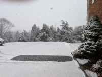 Snow.png