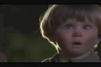 1548828998070.gif