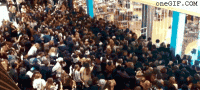 stampede.gif