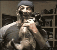 pug.gif