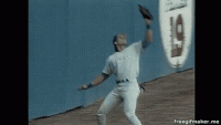 1548868760075.gif