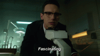image.gif
