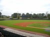 field.jpg