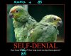 denial2.JPG