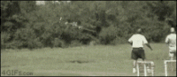 image.gif