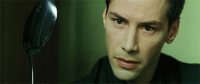 0F73D7E5-BDDD-4A50-BD3C-2C4159480124.gif