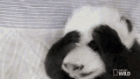 1549667251024.gif