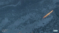 1549756219021.gif