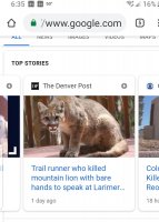 Screenshot_20190214-063526_Chrome.jpg