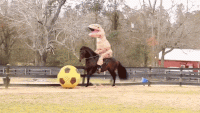 12ad840f8f96e508a4e2bc5d654a18b5.gif