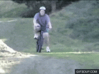 bike2.gif