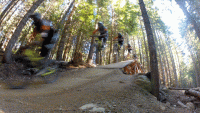 bikes2.gif