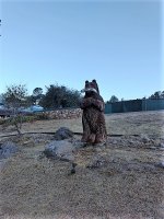 Oakhurst CA bear carving.jpg