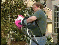 7D2F892F-96EE-473C-82D3-10873BB61240.gif