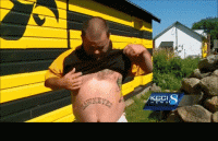 1553435553763.gif