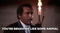 1554227237351.gif