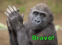 bravo (2).gif