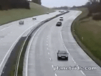 GrotesqueVillainousCaribou-small.gif