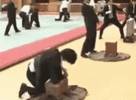 1554769027805.gif