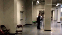 1554817372928.gif