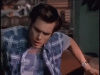 1554905788701.gif