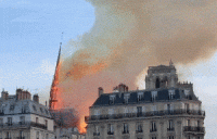 1555377344291.gif