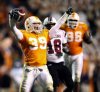 South_Carolina_Tennessee_Football5_t600.jpg