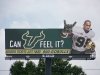 usf.jpg