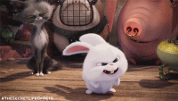 2fe2061fbaabaca5f44b85367d3621cc.gif