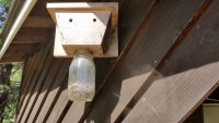 Carpenter bee trap.jpg