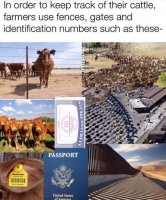 000DA1C6-D178-4072-9F9F-7B3A3992CA32.jpeg