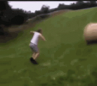 1561587995051.gif
